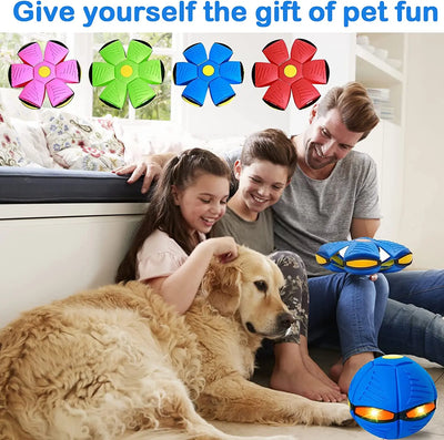 Pet Dog Toy Magic Flying Saucer Ball